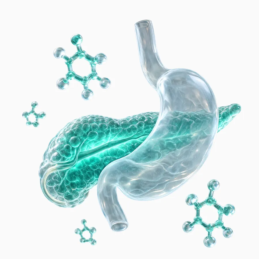 Metabolism & glucose