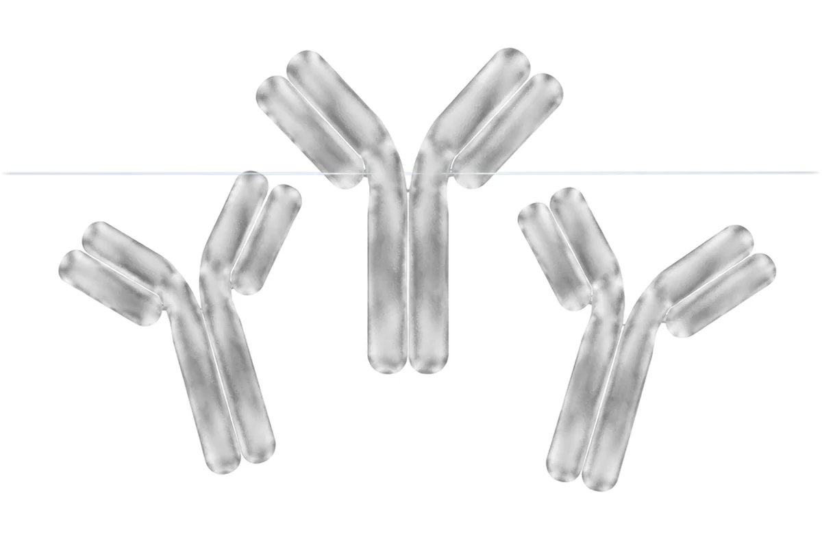 Sexual health glass anatomy illustration